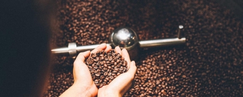 120818018_800642750701269_6954321122763090713_n