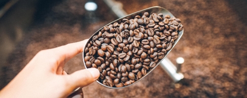 161770906_913150816117128_4858737830284988195_n