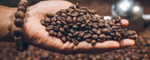 197864938_962276957871180_6394182334813170748_n