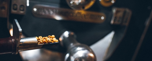 198234370_970869583678584_7272341292303878873_n