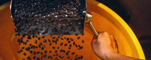 245445505_1039295196836022_8850367927754319966_n