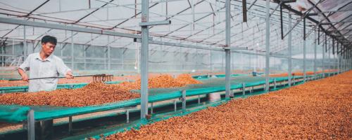 46375903_357297268369155_8602352948770504704_n