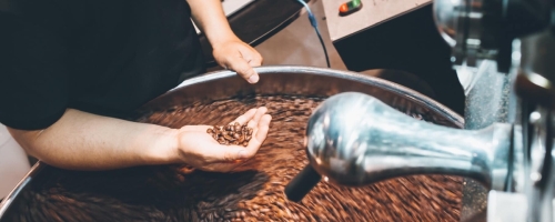 50082576_390237401741808_4629335666839257088_n