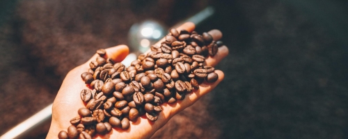 59566805_444424976323050_1887644912640327680_n