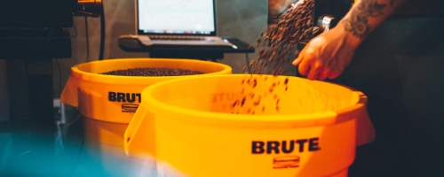 59956789_446350512797163_6514506759921467392_n