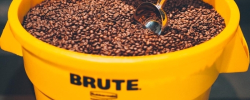 60250436_447957175969830_2229079874776072192_n