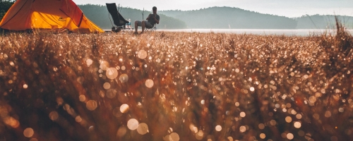 61767106_462352734530274_777010526453497856_n