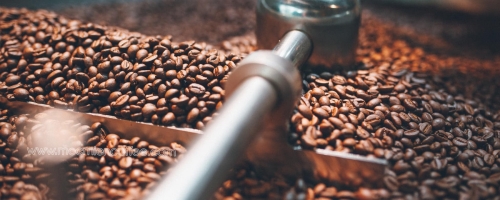 64926381_472826513482896_5811254986742431744_n