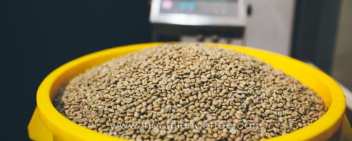 66899649_488353808596833_8797818512434266112_n