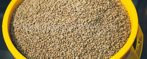 67243149_488353765263504_8506018314084941824_n