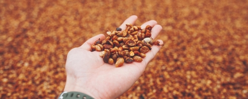 67650062_488353831930164_4587300839093174272_n